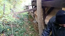 2016-10-22-1.jpg