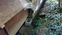 2016-10-22-5.jpg