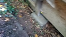 2016-10-22-7.jpg