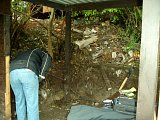 pic1005.jpg