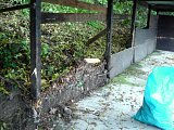 pic1011.jpg