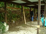 pic1023.jpg