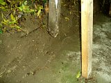 pic1024.jpg