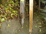 pic1025.jpg