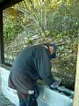 pic1003.jpg