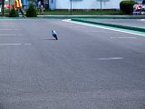 pic1022.jpg