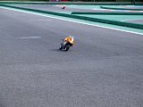 pic1023.jpg
