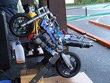 pic1037.jpg