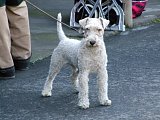 pic1118.jpg