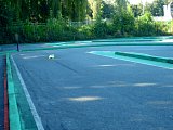 ep-20130929-104.jpg
