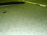 20140111-48.jpg