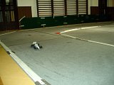 20140322-mor-029.jpg