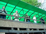 ep-20140504-07.jpg