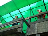 openep-20140601-11.jpg