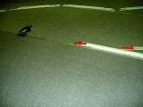20141122-mor-034.jpg