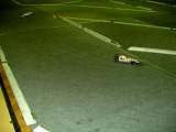 20141206-mor-041.jpg