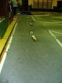 20141206-mor-079.jpg