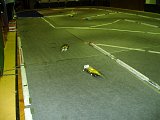20141206-mor-080.jpg