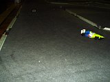 pic1004.jpg