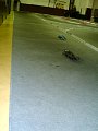 dsc02580.jpg