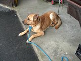 pic1101.jpg