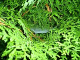 gp_20130928-003.jpg