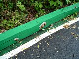 gp-20140503-12.jpg