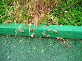 gp-20140503-13.jpg