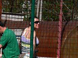 p1120143.jpg